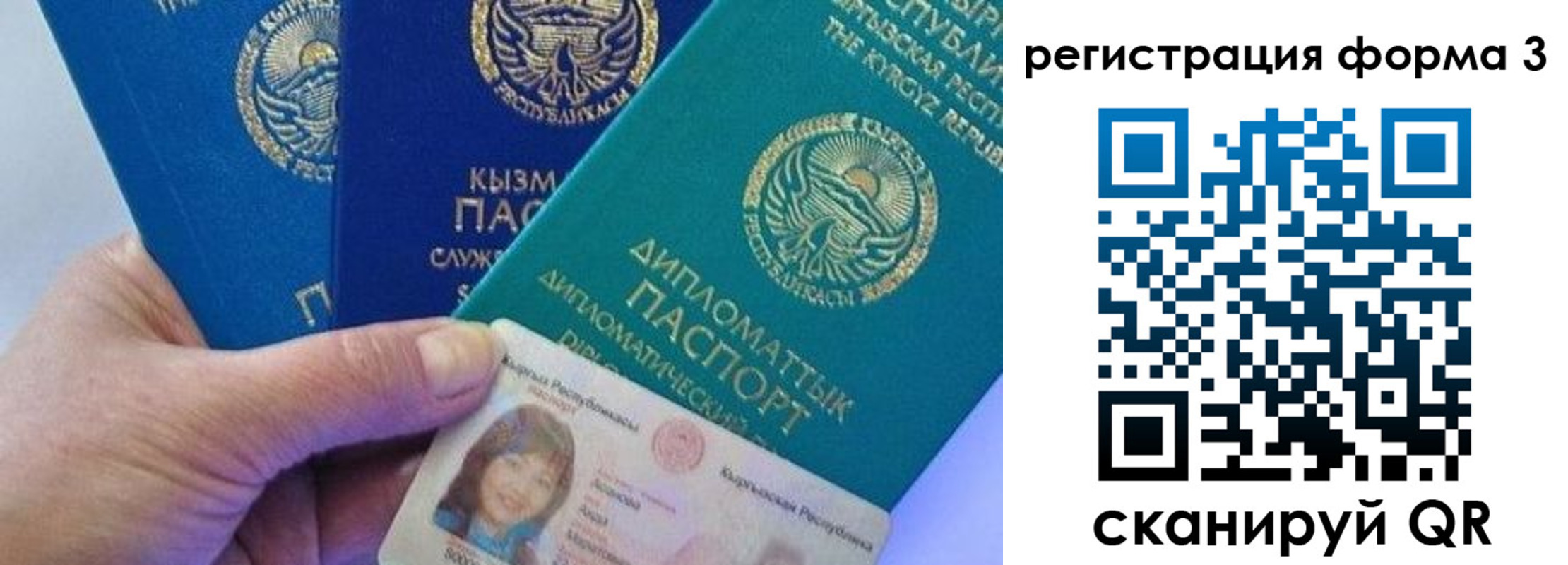 миграционный учет в Воронежской области